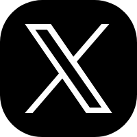 x icon