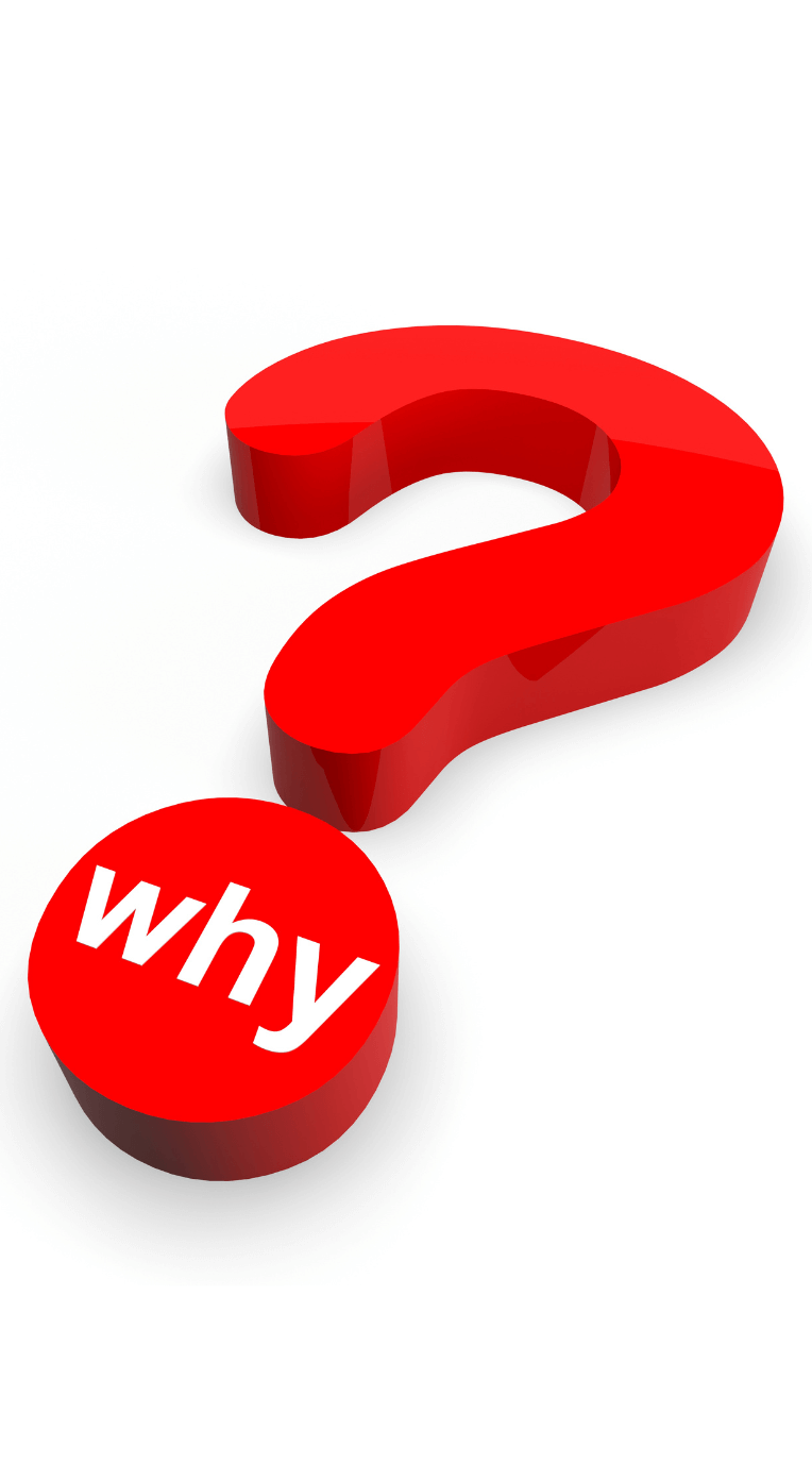 1 Website Development Why Website Development Is Important For Your Brand’s Success